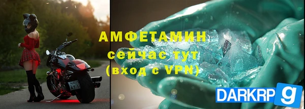 индика Белокуриха