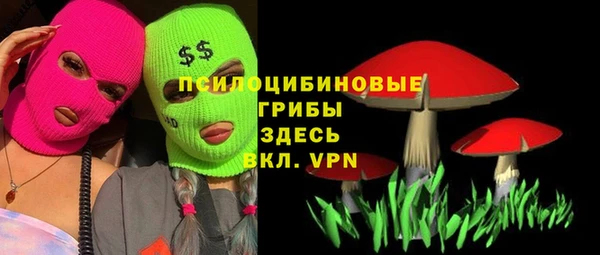 индика Белокуриха