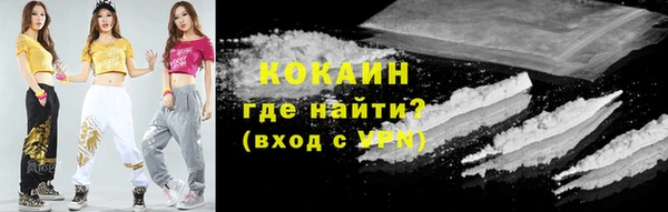 индика Белокуриха