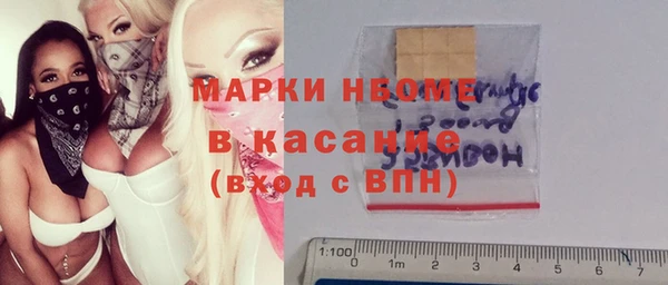 индика Белокуриха