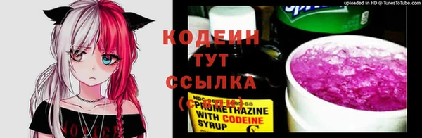 индика Белокуриха