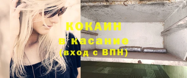 индика Белокуриха