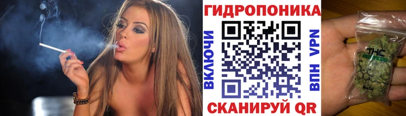 как найти закладки Кузнецк Конопля сатива